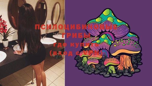 мяу мяу мука Балахна