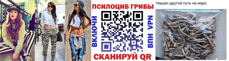 где купить наркоту  Кропоткин  Галлюциногенные грибы мицелий 